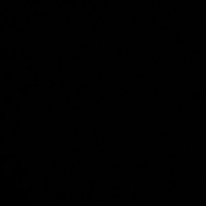 Extra Shipping Label